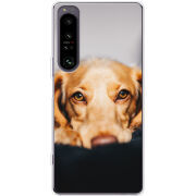 Чохол BoxFace Sony Xperia 1 IV 