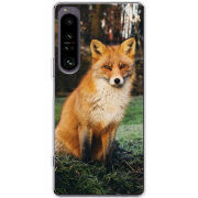 Чохол BoxFace Sony Xperia 1 IV 