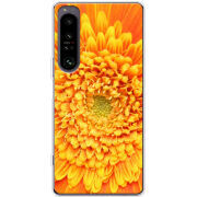 Чохол BoxFace Sony Xperia 1 IV 
