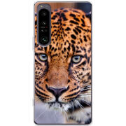 Чохол BoxFace Sony Xperia 1 IV 