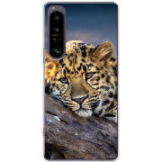 Чохол BoxFace Sony Xperia 1 IV 