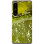 Чохол BoxFace Sony Xperia 1 IV 