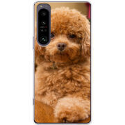 Чохол BoxFace Sony Xperia 1 IV 
