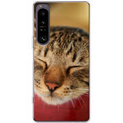 Чохол BoxFace Sony Xperia 1 IV 