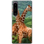 Чохол BoxFace Sony Xperia 1 IV 