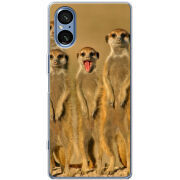 Чохол BoxFace Sony Xperia 5 V 