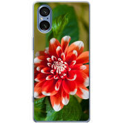 Чохол BoxFace Sony Xperia 5 V 
