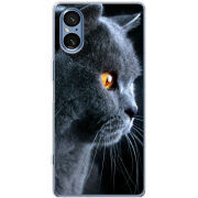 Чохол BoxFace Sony Xperia 5 V English cat