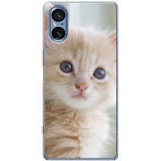 Чохол BoxFace Sony Xperia 5 V Animation Kittens