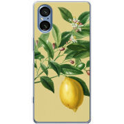 Чохол BoxFace Sony Xperia 5 V 