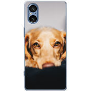 Чохол BoxFace Sony Xperia 5 V 