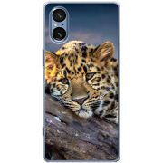 Чохол BoxFace Sony Xperia 5 V 
