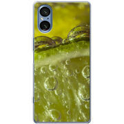 Чохол BoxFace Sony Xperia 5 V 