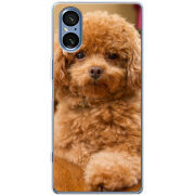 Чохол BoxFace Sony Xperia 5 V 
