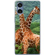 Чохол BoxFace Sony Xperia 5 V 