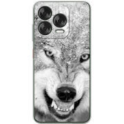 Чохол BoxFace Nubia V70 Design 
