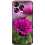 Чохол BoxFace Nubia V70 Design 