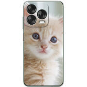 Чохол BoxFace Nubia V70 Design Animation Kittens
