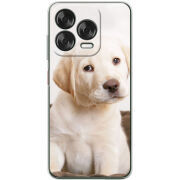 Чохол BoxFace Nubia V70 Design Puppy Labrador