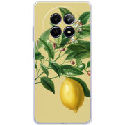 Чохол BoxFace Realme 13 5G 