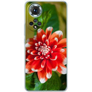 Чохол BoxFace Honor 50 