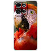 Чохол BoxFace Motorola Moto G56 