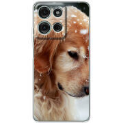 Чохол BoxFace Motorola Moto G56 Golden Retriever