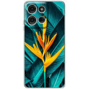 Чохол BoxFace Motorola Moto G56 