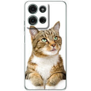 Чохол BoxFace Motorola Moto G56 