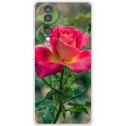 Чохол BoxFace Honor 70 