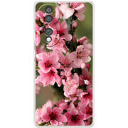 Чохол BoxFace Honor 70 Вишневые Цветы