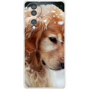 Чохол BoxFace Honor 70 Golden Retriever