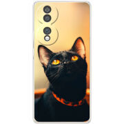 Чохол BoxFace Honor 70 