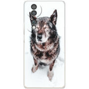 Чохол BoxFace Honor 70 