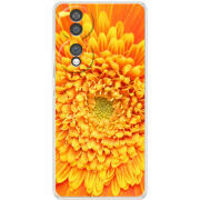 Чохол BoxFace Honor 70 