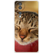 Чохол BoxFace Honor 70 