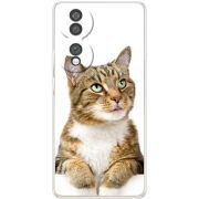 Чохол BoxFace Honor 70 