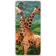 Чохол BoxFace Honor 70 