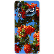 Чохол BoxFace Nubia Neo 3 GT 5G 