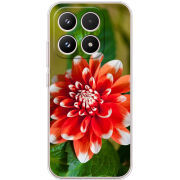 Чохол BoxFace Xiaomi 17 