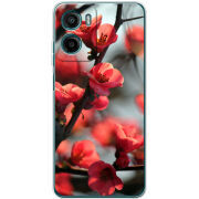 Чохол BoxFace Motorola G06 Power Awakening Spring