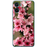 Чохол BoxFace Motorola G06 Power Вишневые Цветы