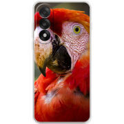 Чохол BoxFace OnePlus Nord 5 