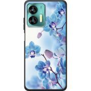 Чехол со стразами Oukitel C35 Orchids