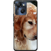 Чохол BoxFace Blackview Oscal Modern 8 Golden Retriever