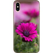 Чехол Uprint Apple iPhone XS 