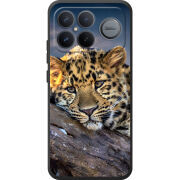 Чохол BoxFace Poco F8 Ultra 