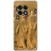 Чохол BoxFace OnePlus Ace 5 