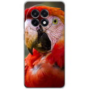 Чохол BoxFace OnePlus Ace 5 