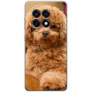 Чохол BoxFace OnePlus Ace 5 